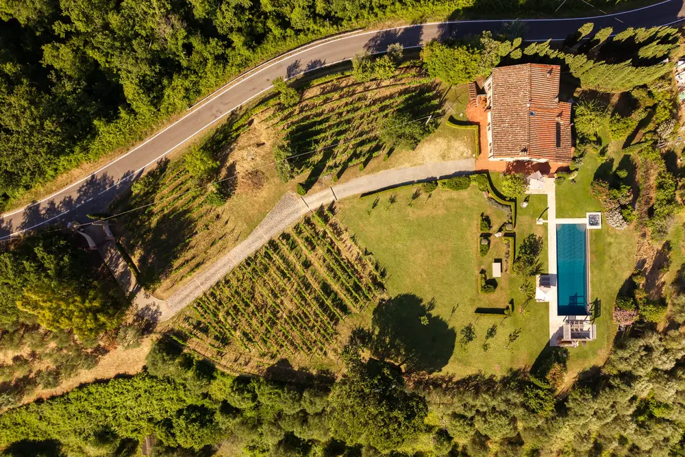 Triano vineyards from above